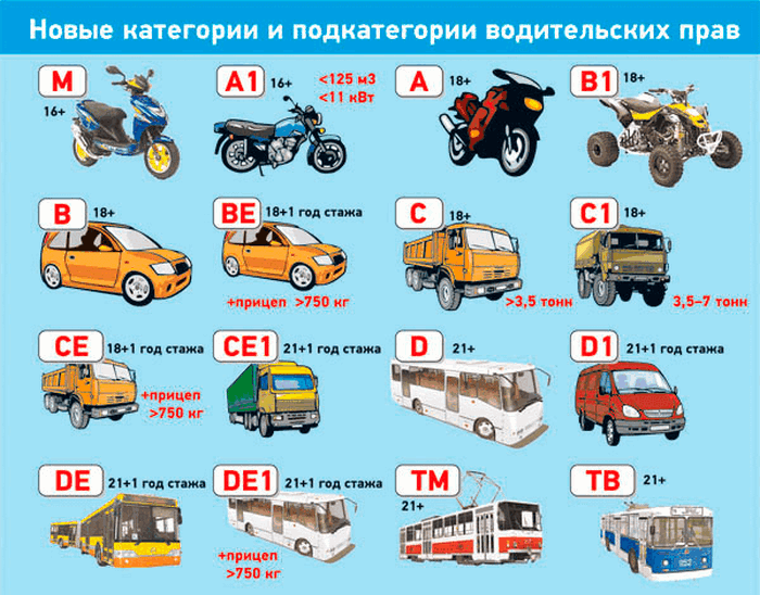 Получение новой водительской категории
